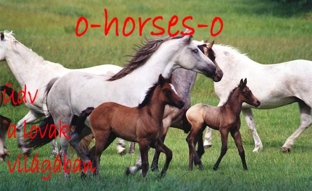 o-horses-o